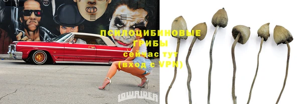 а пвп мука Абдулино